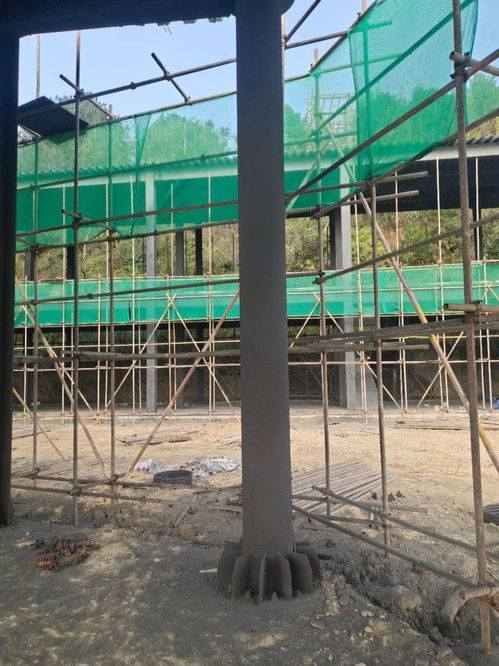 专业解析 彝良地区室外非膨胀型钢结构防火涂料优选——力亚防火材料的对比与选择